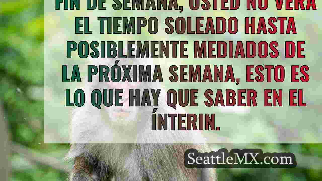Noticias de Seattle SeattleMX