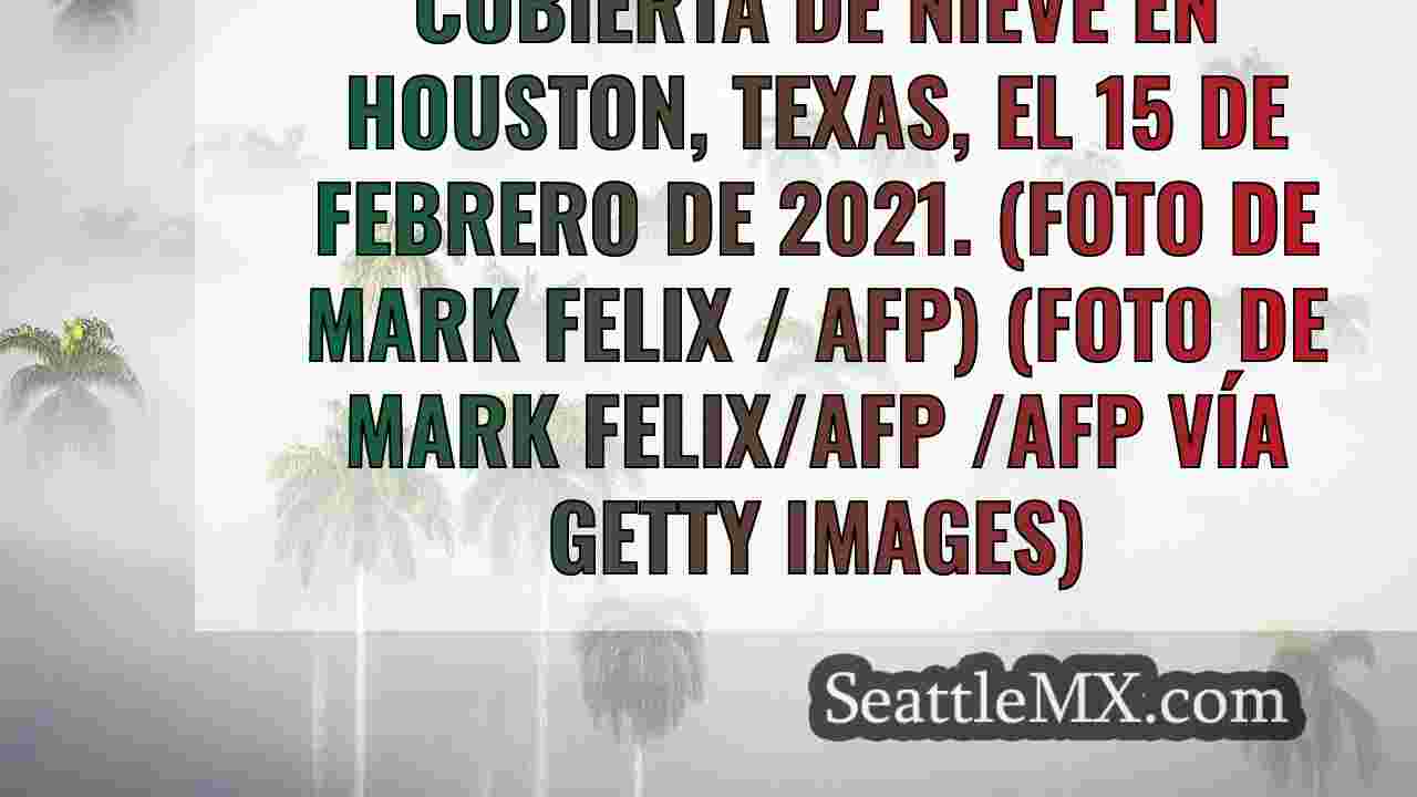Noticias de Seattle SeattleMX