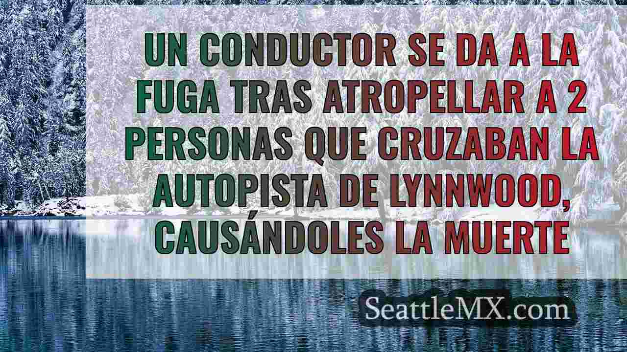 Noticias de Seattle SeattleMX