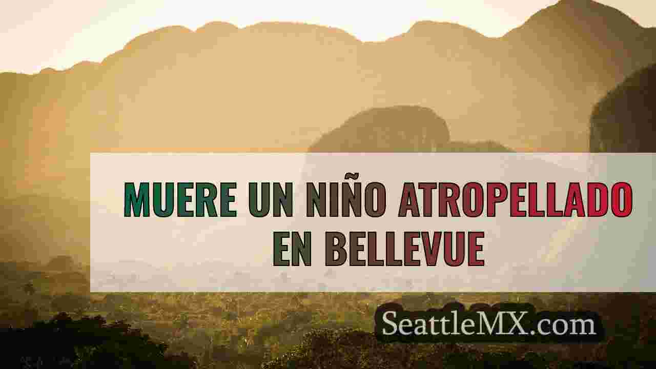Noticias de Seattle SeattleMX