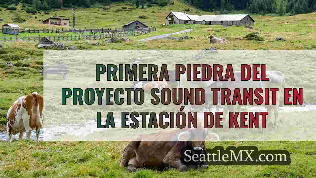 Noticias de Seattle SeattleMX