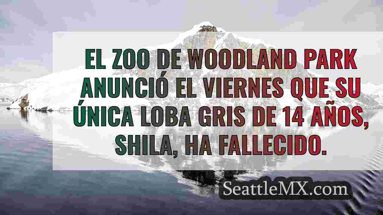 Noticias de Seattle SeattleMX