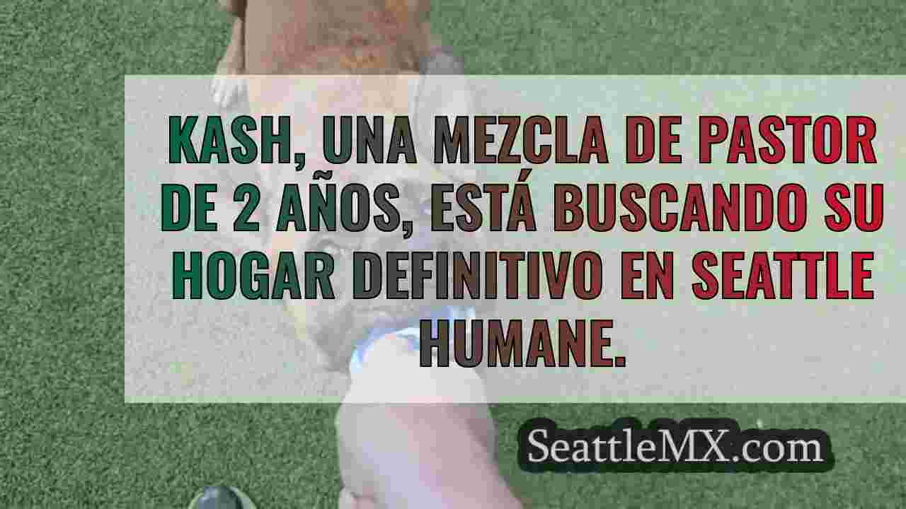 Noticias de Seattle SeattleMX