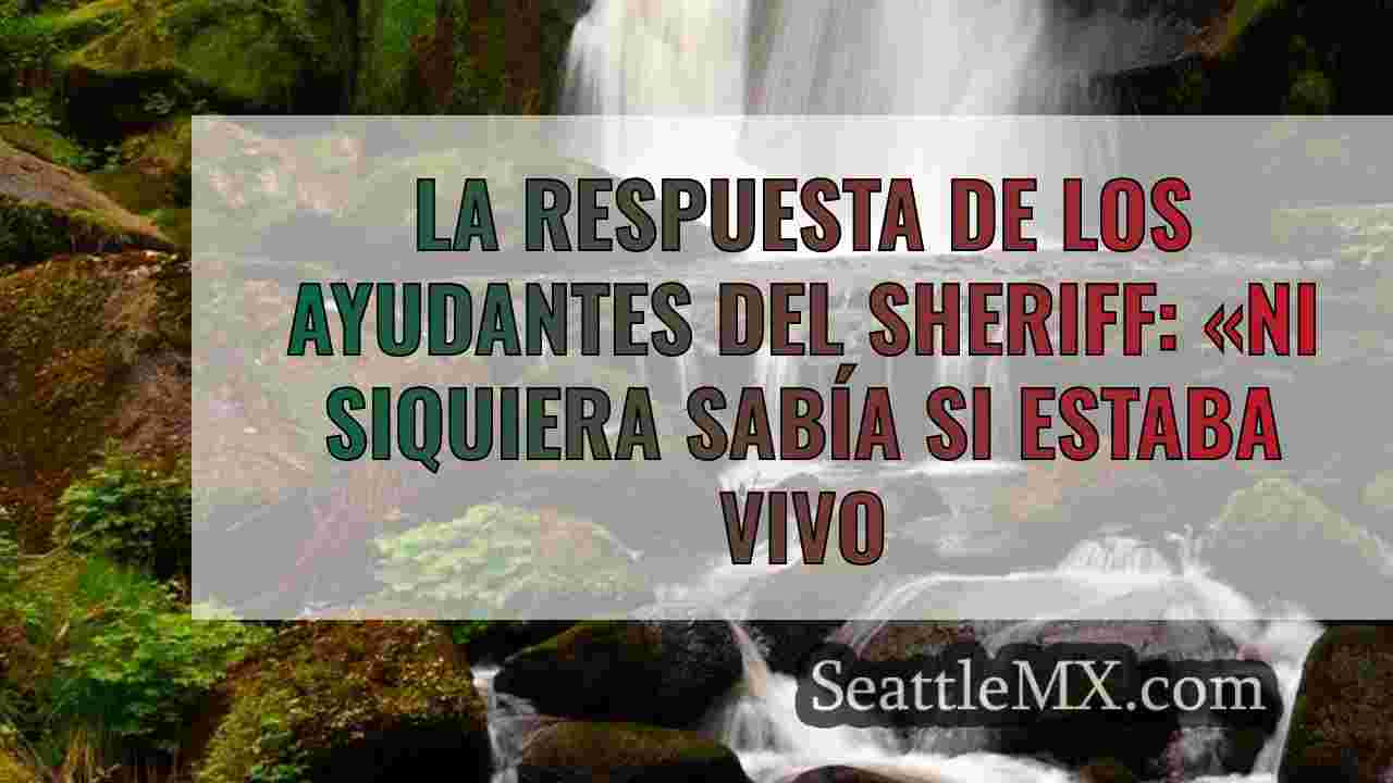 Noticias de Seattle SeattleMX