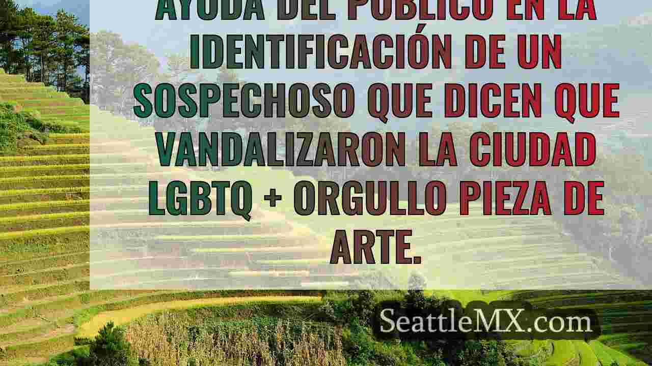 Noticias de Seattle SeattleMX