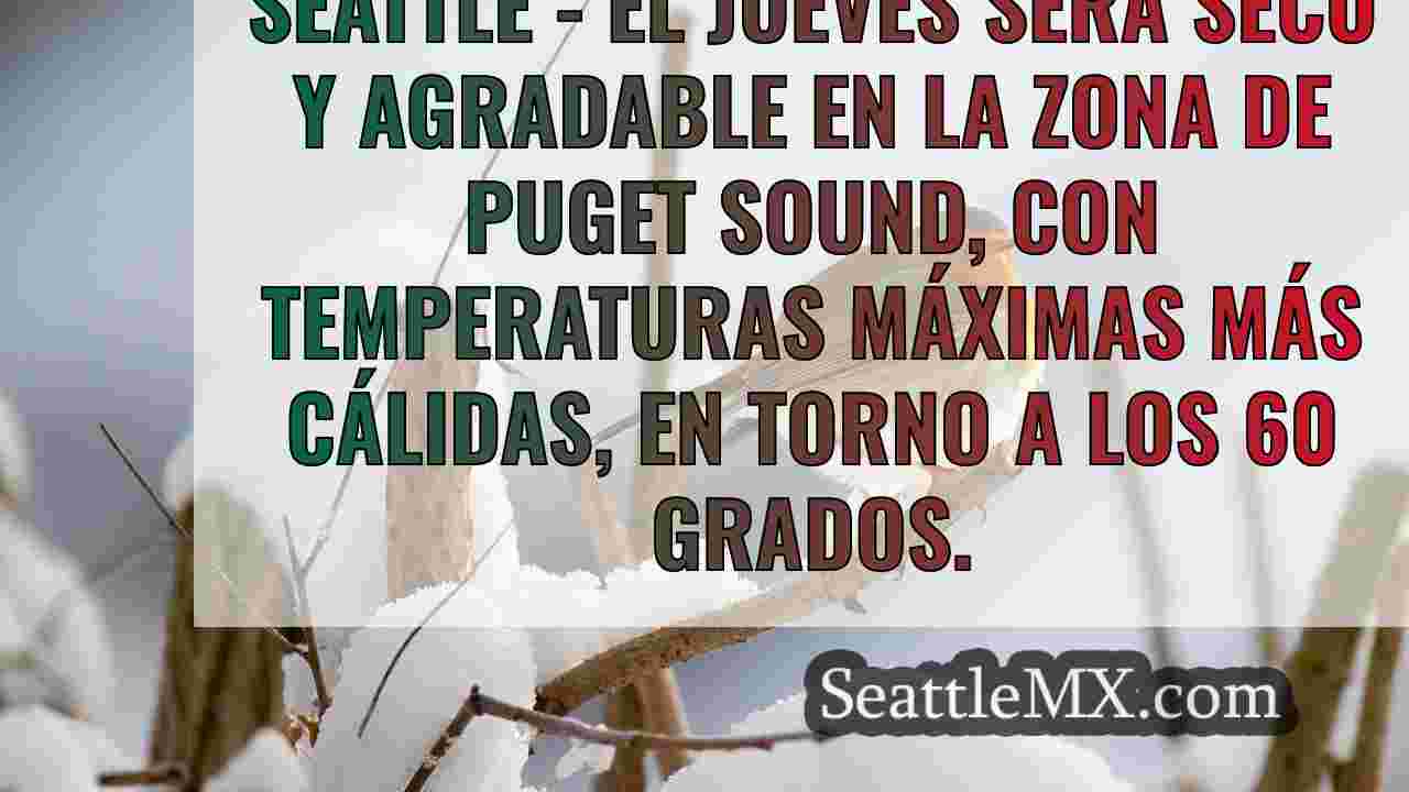Noticias de Seattle SeattleMX