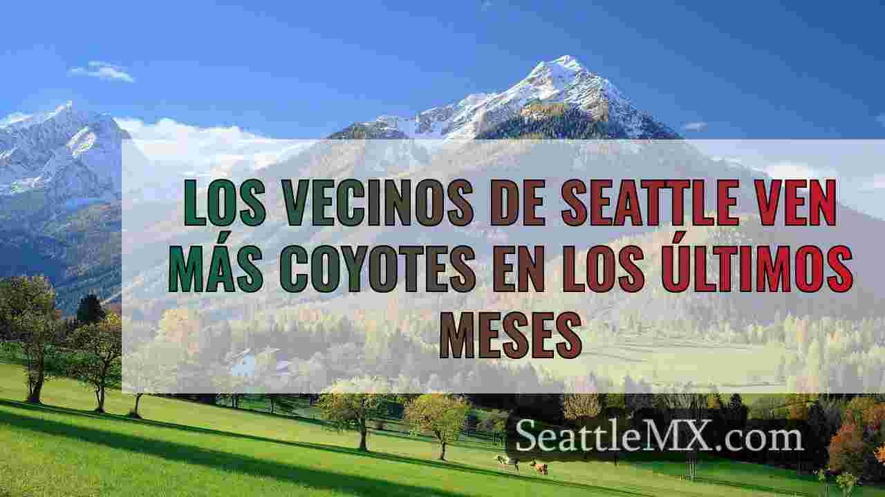 Noticias de Seattle SeattleMX