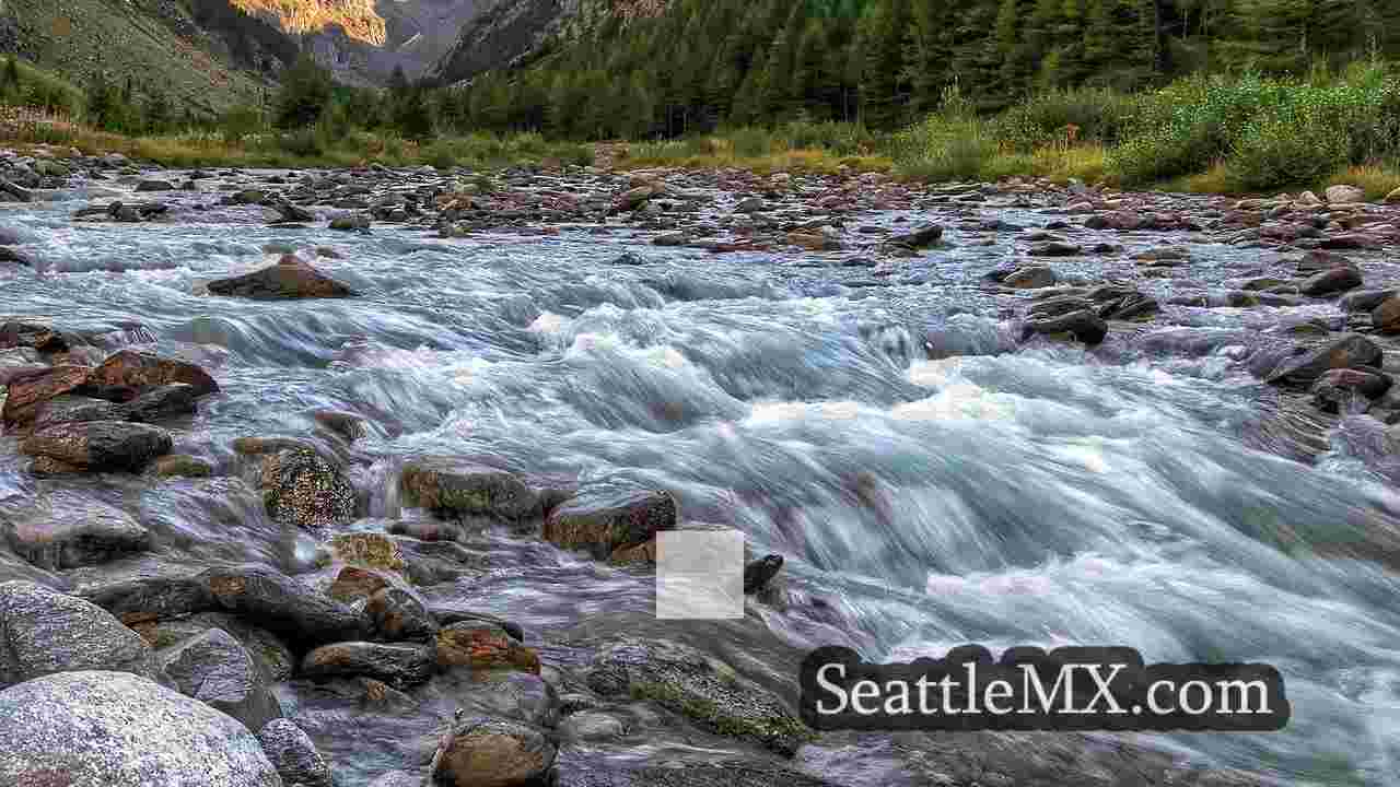 Noticias de Seattle SeattleMX