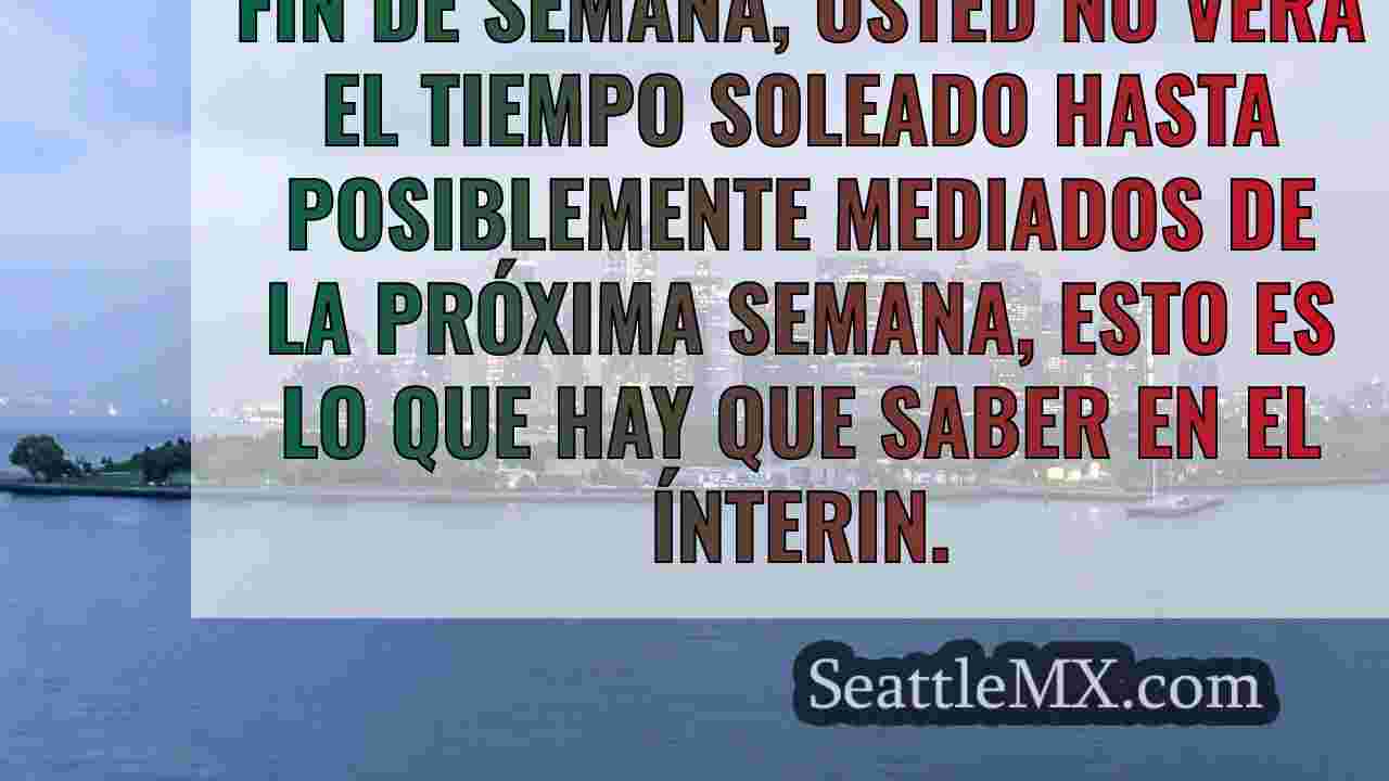 Noticias de Seattle SeattleMX