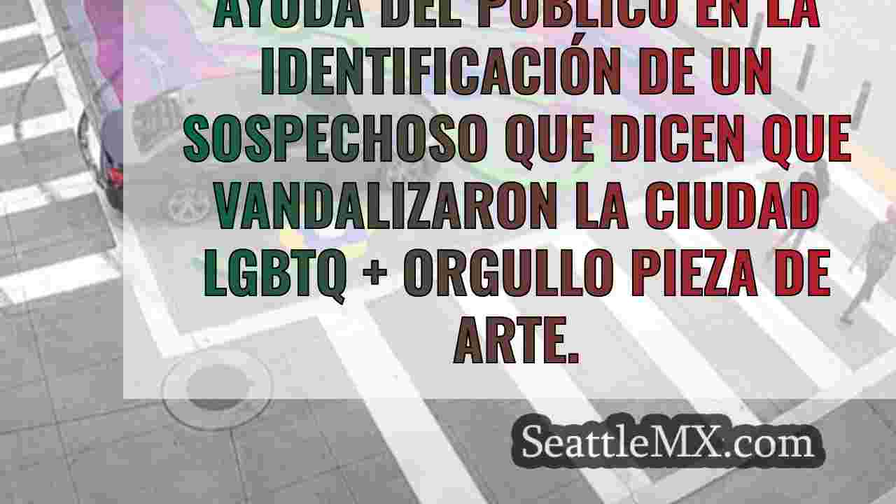 La policía de Bellevue solicita la