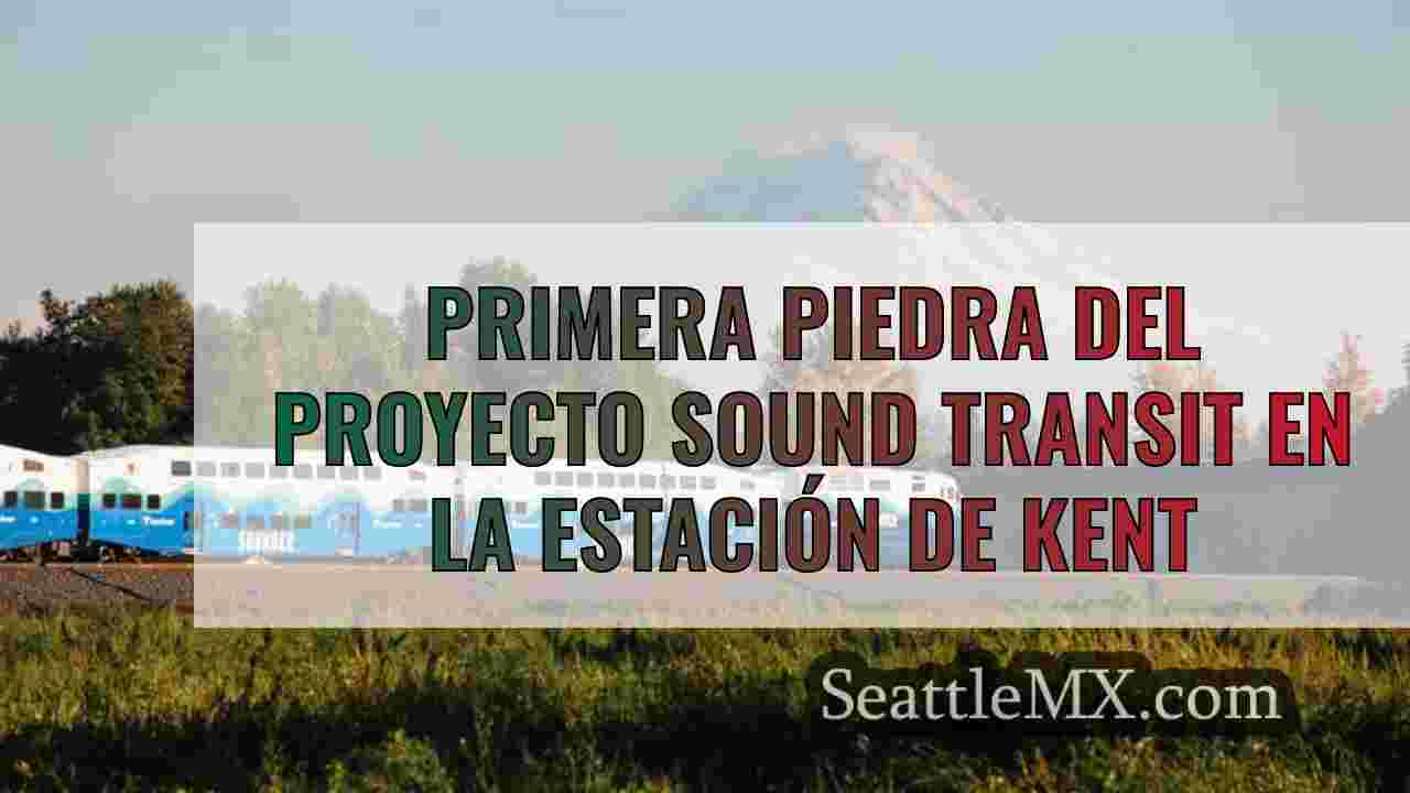 Primera piedra del proyecto Sound
