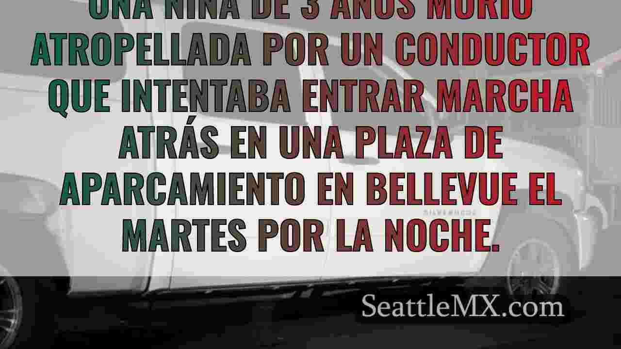 Noticias de Seattle SeattleMX