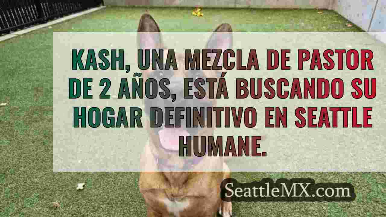 Noticias de Seattle SeattleMX