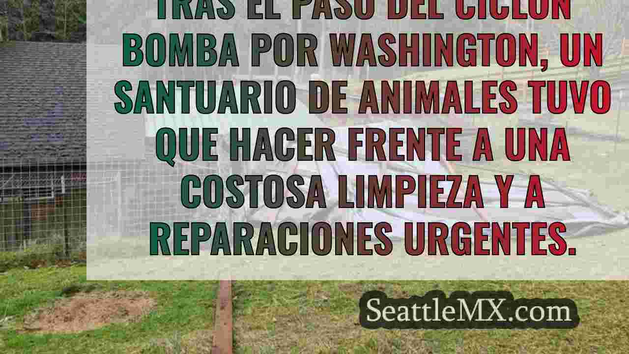 Noticias de Seattle SeattleMX