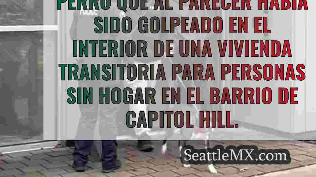 Un concejal de Seattle ayuda a rescatar