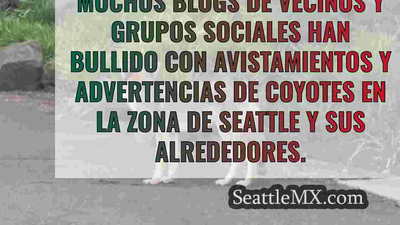 Noticias de Seattle SeattleMX