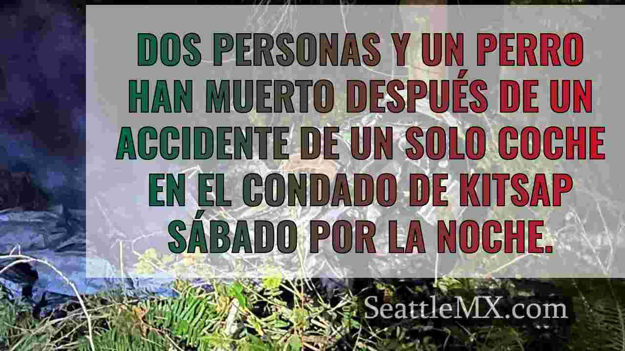 2 personas y un perro muertos tras