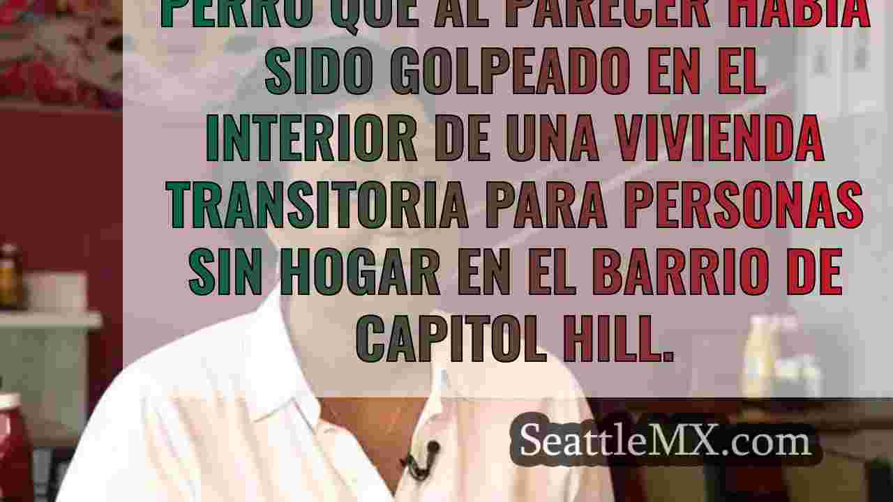 Noticias de Seattle SeattleMX