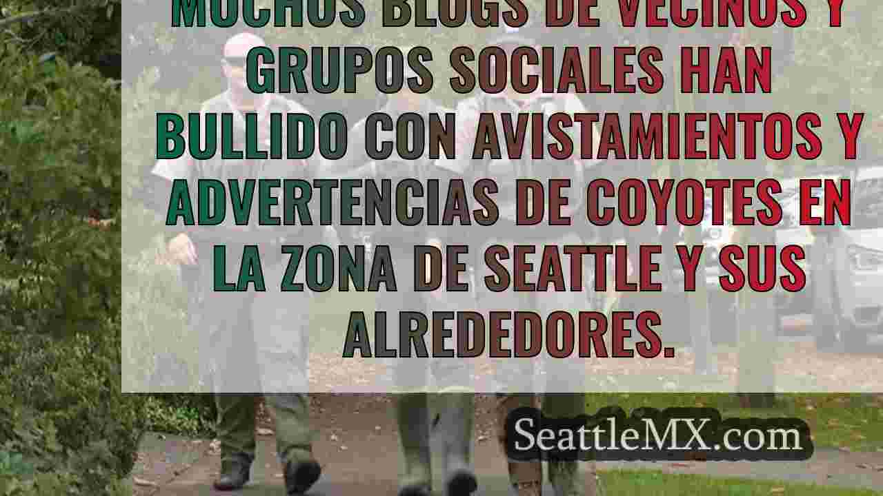 Noticias de Seattle SeattleMX
