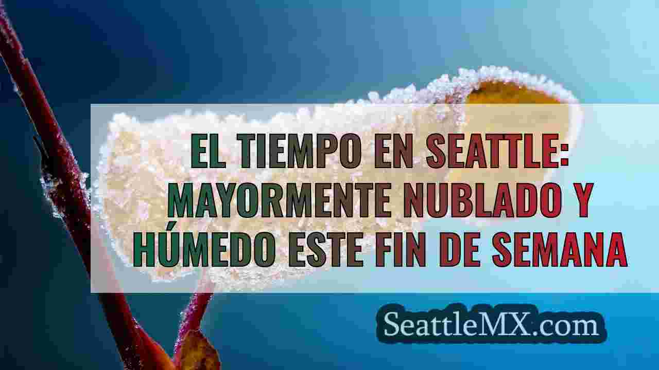 Noticias de Seattle SeattleMX