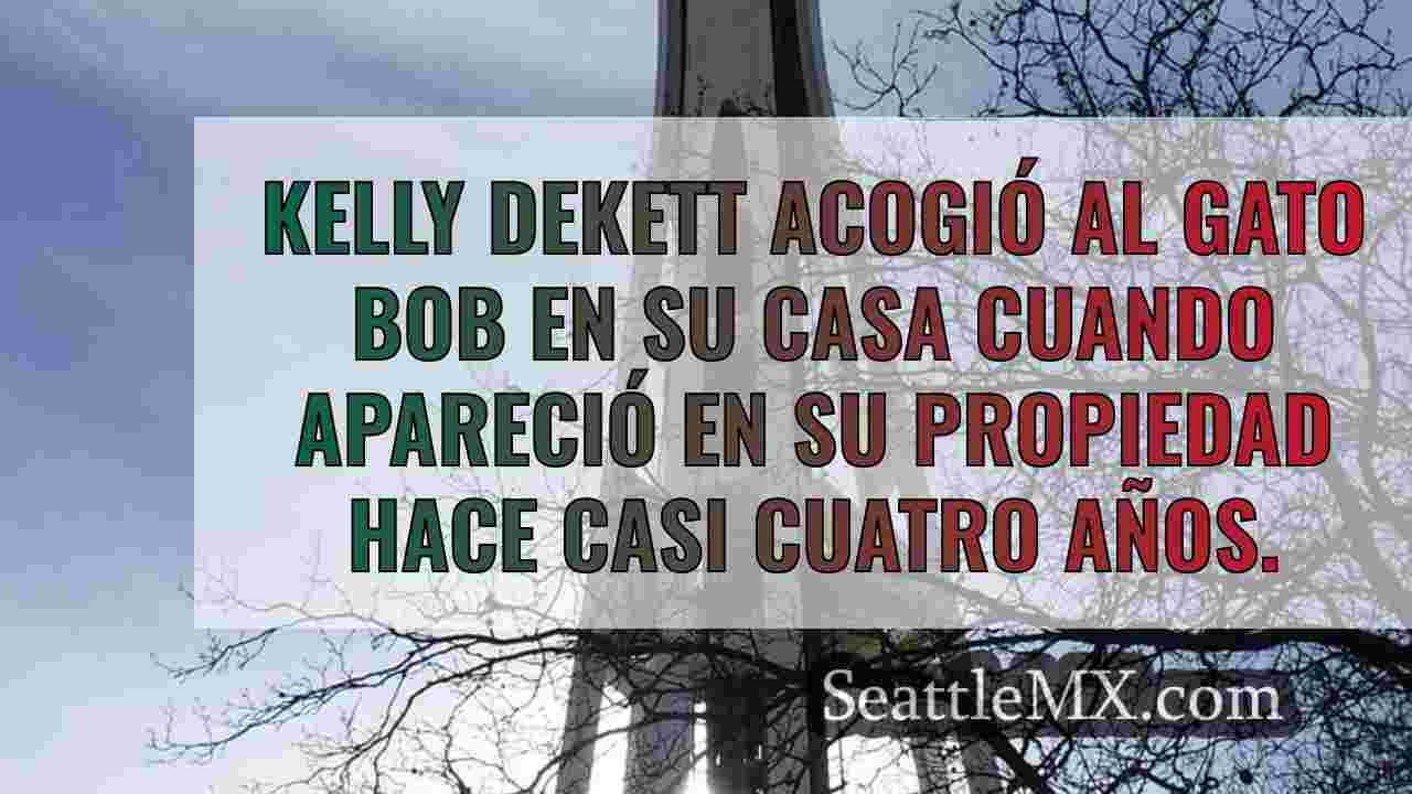 Noticias de Seattle SeattleMX