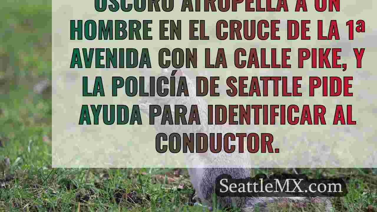 Noticias de Seattle SeattleMX