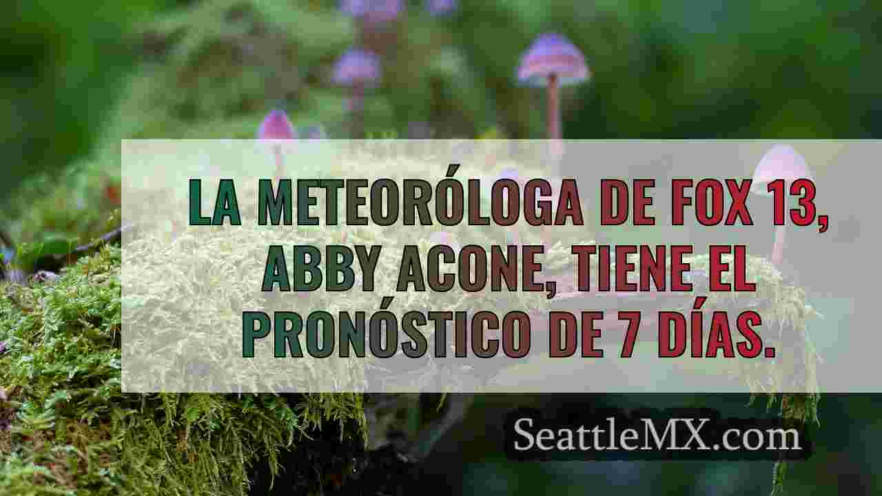 Noticias de Seattle SeattleMX
