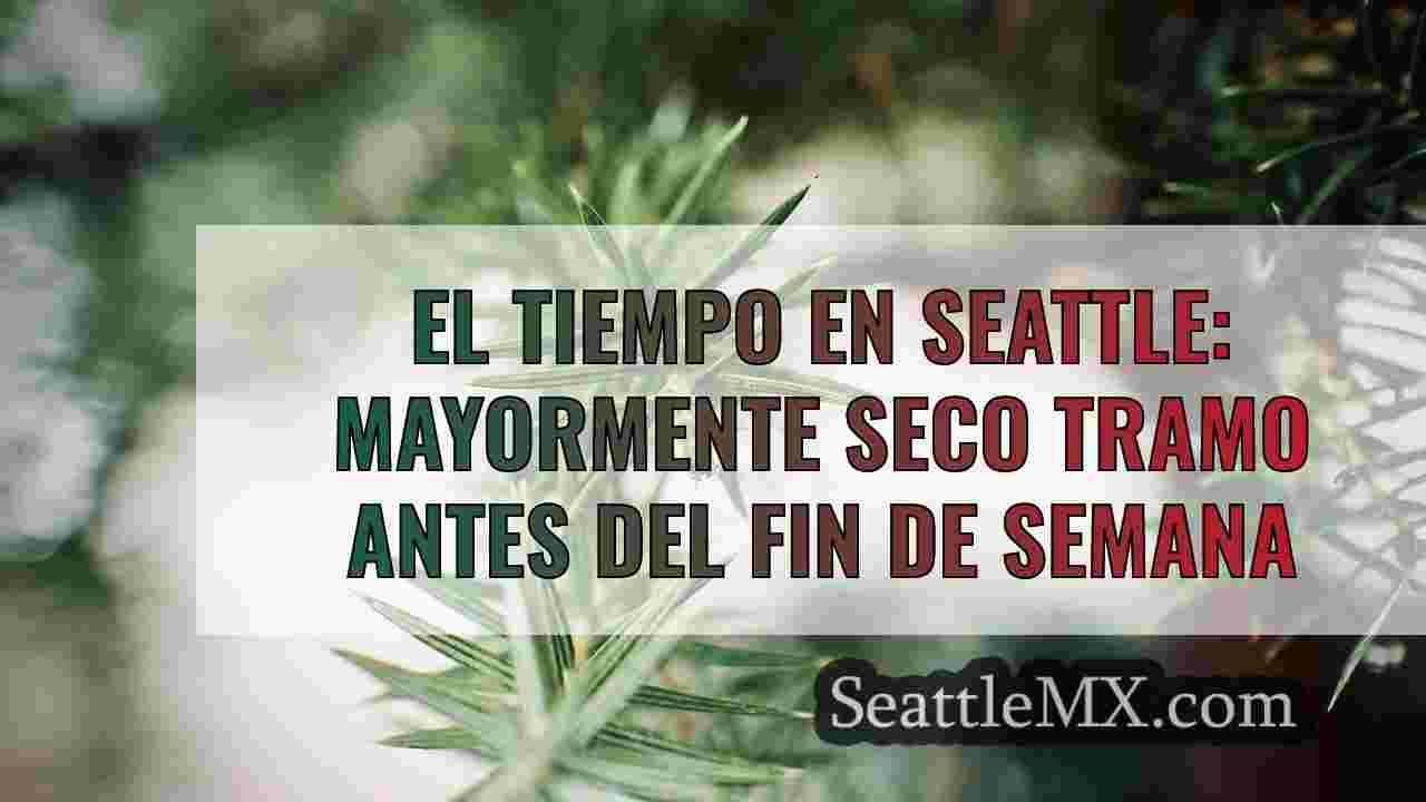 Noticias de Seattle SeattleMX