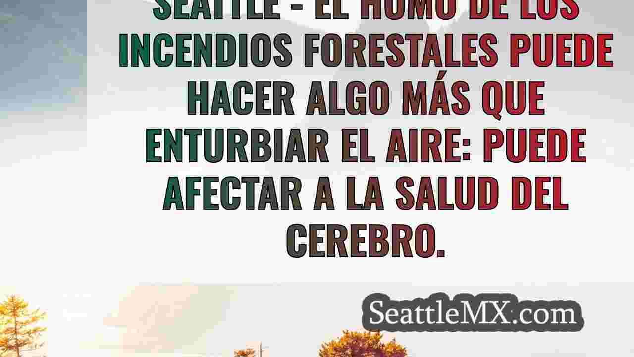 Noticias de Seattle SeattleMX