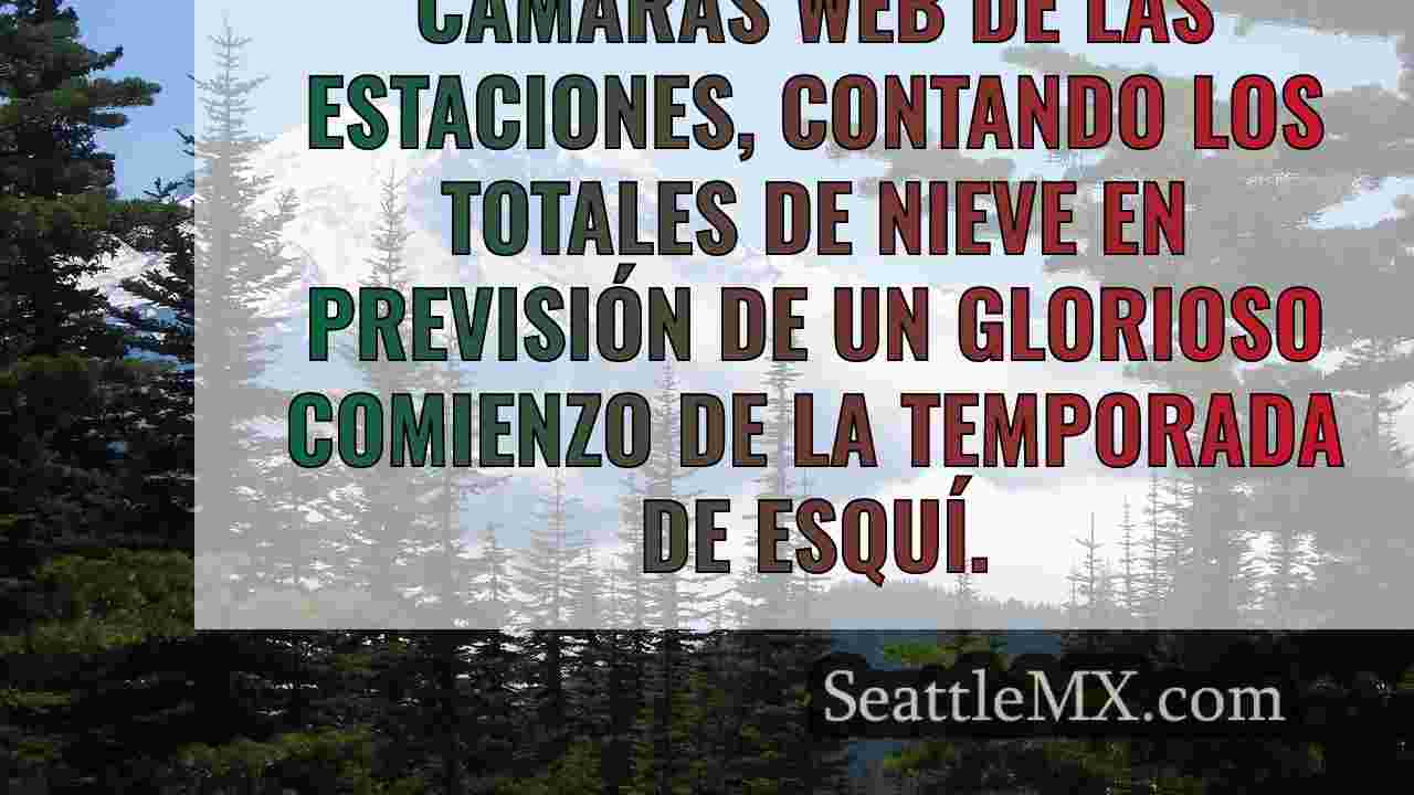 Noticias de Seattle SeattleMX