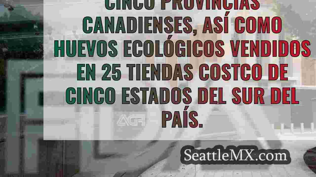 Pepinos SunFed y huevos Costco