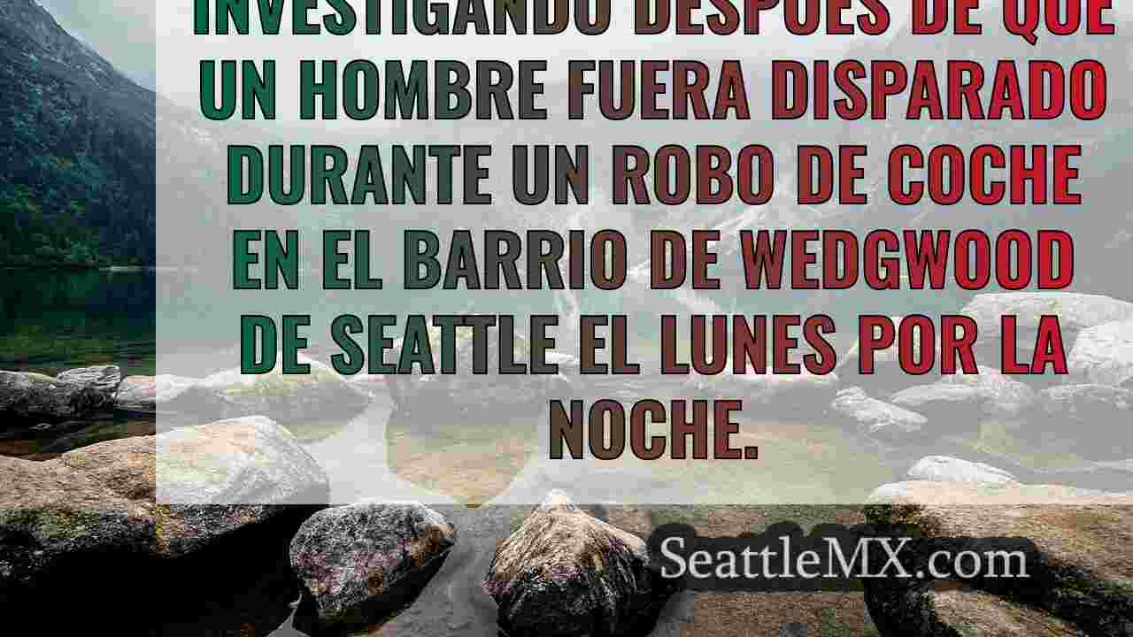 Disparan a un hombre durante el robo de