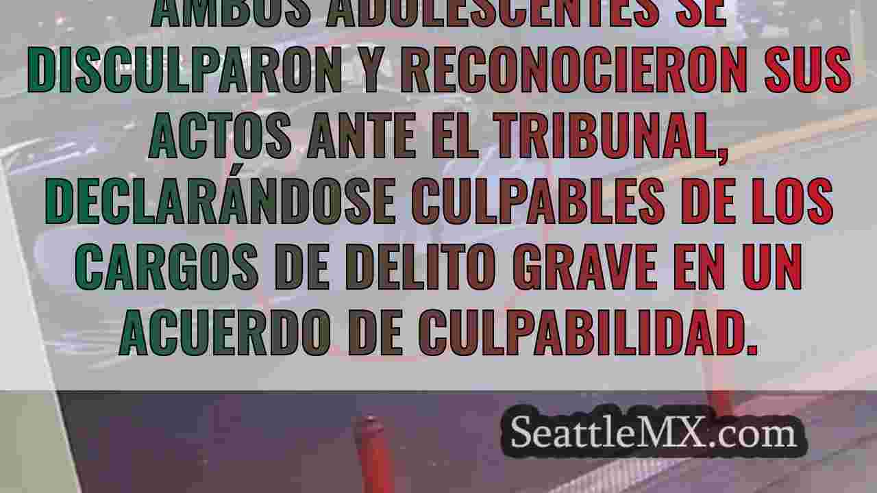 Adolescentes condenados por robo de