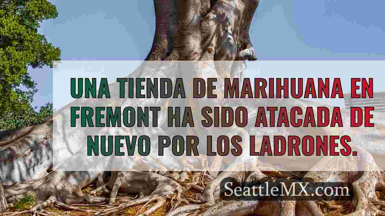 Noticias de Seattle SeattleMX