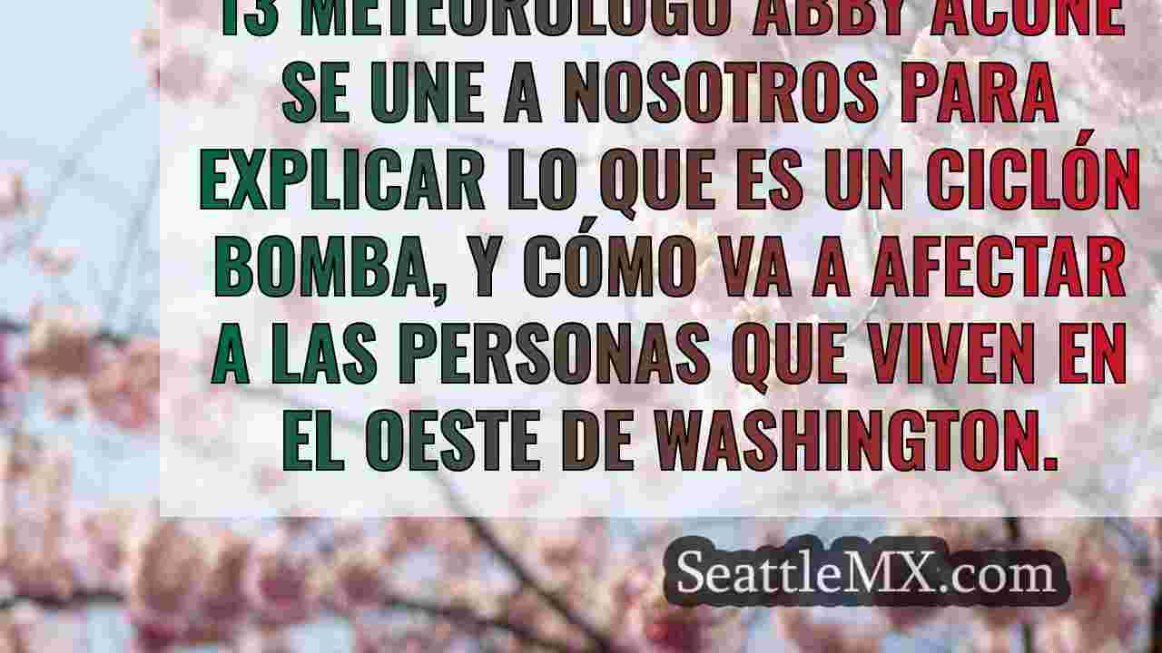 Alerta de ventisca en los puertos de
