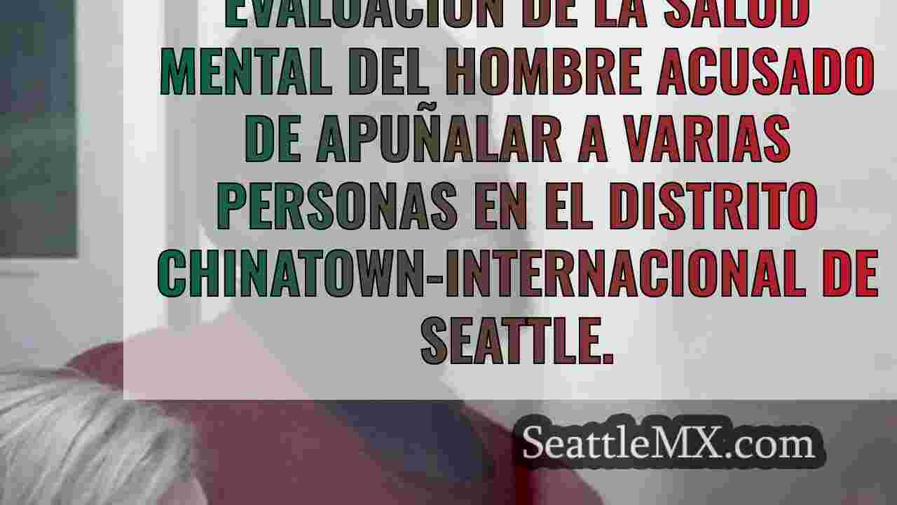 El hombre acusado del apuñalamiento
