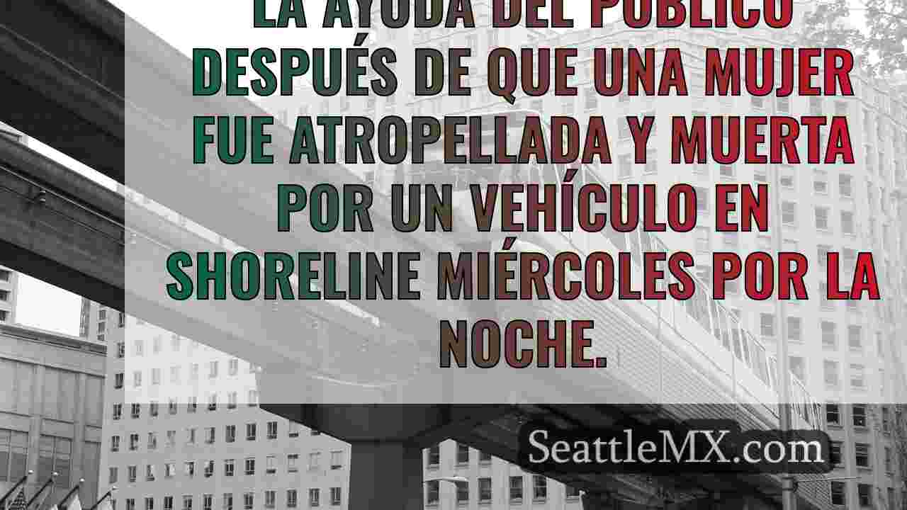Noticias de Seattle SeattleMX
