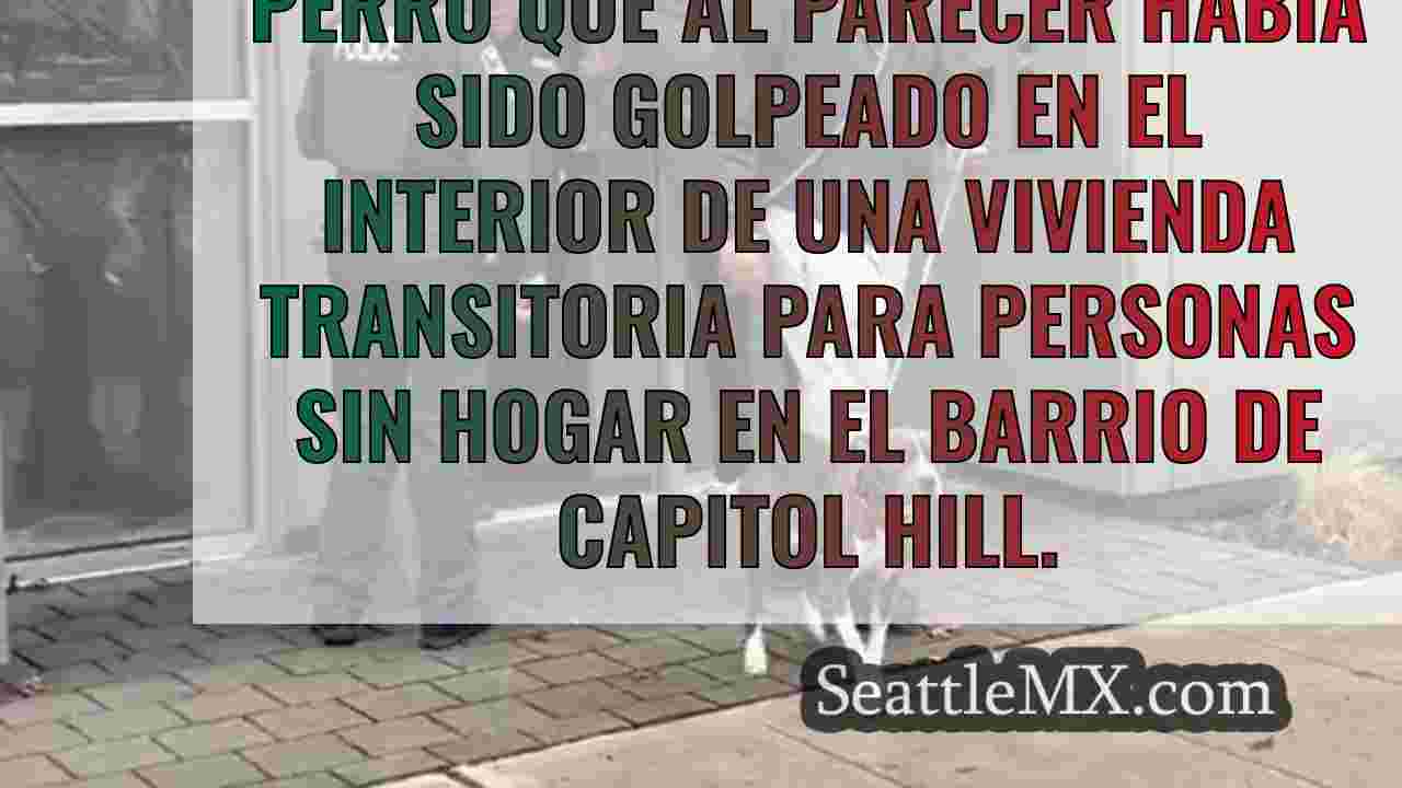 Noticias de Seattle SeattleMX