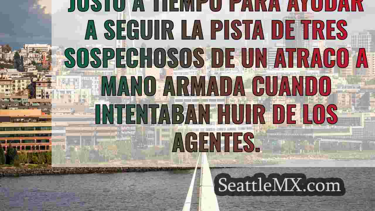 Noticias de Seattle SeattleMX
