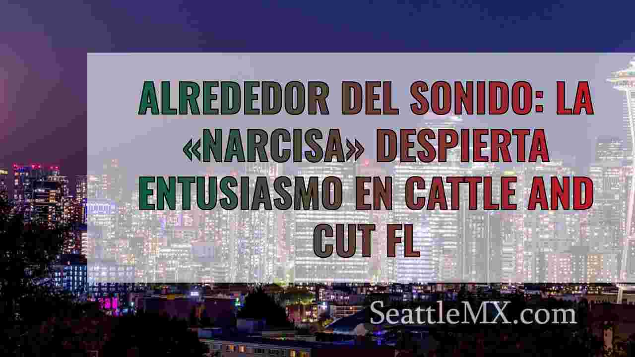 Alrededor del Sonido: la 'daffodahlia'