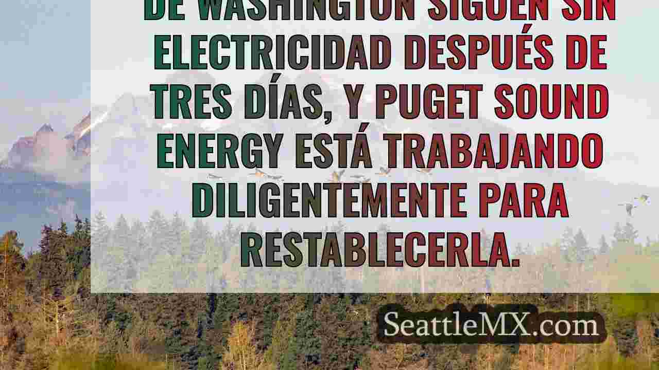 Noticias de Seattle SeattleMX