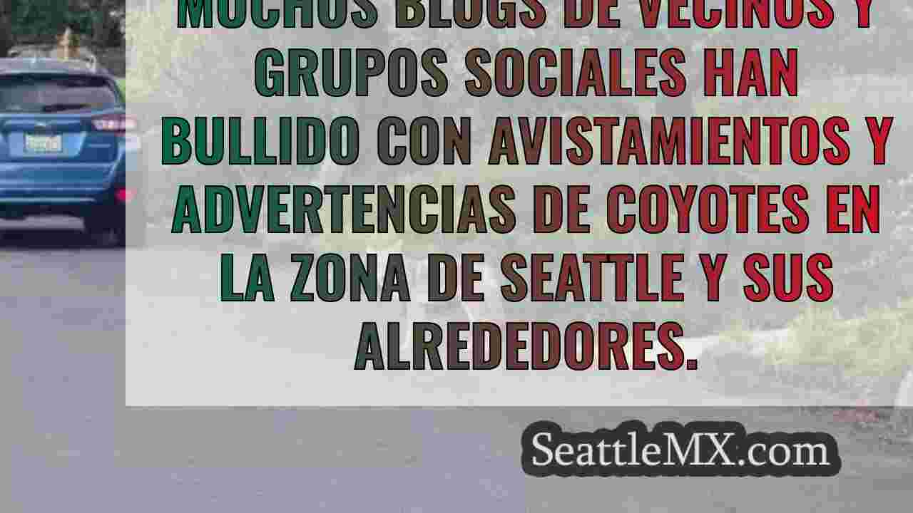 Un concejal de Seattle presiona para