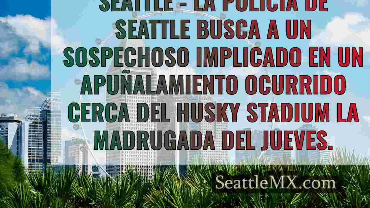 Noticias de Seattle SeattleMX