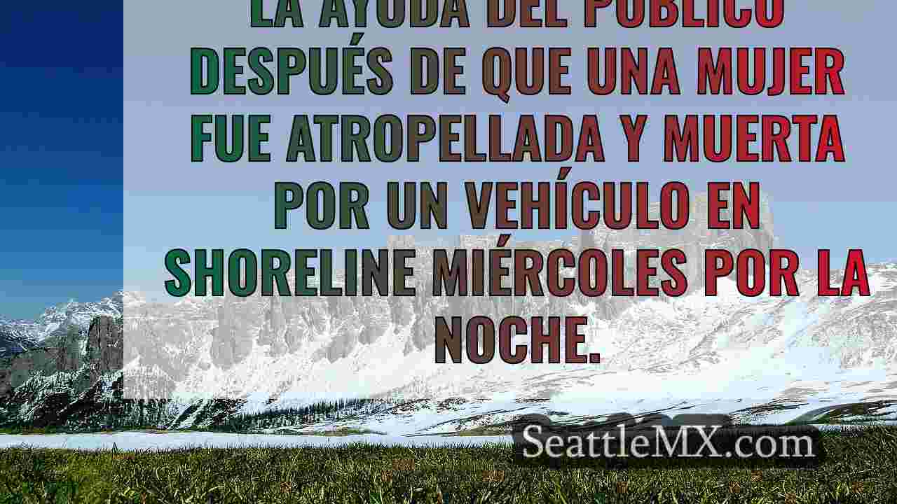 Noticias de Seattle SeattleMX