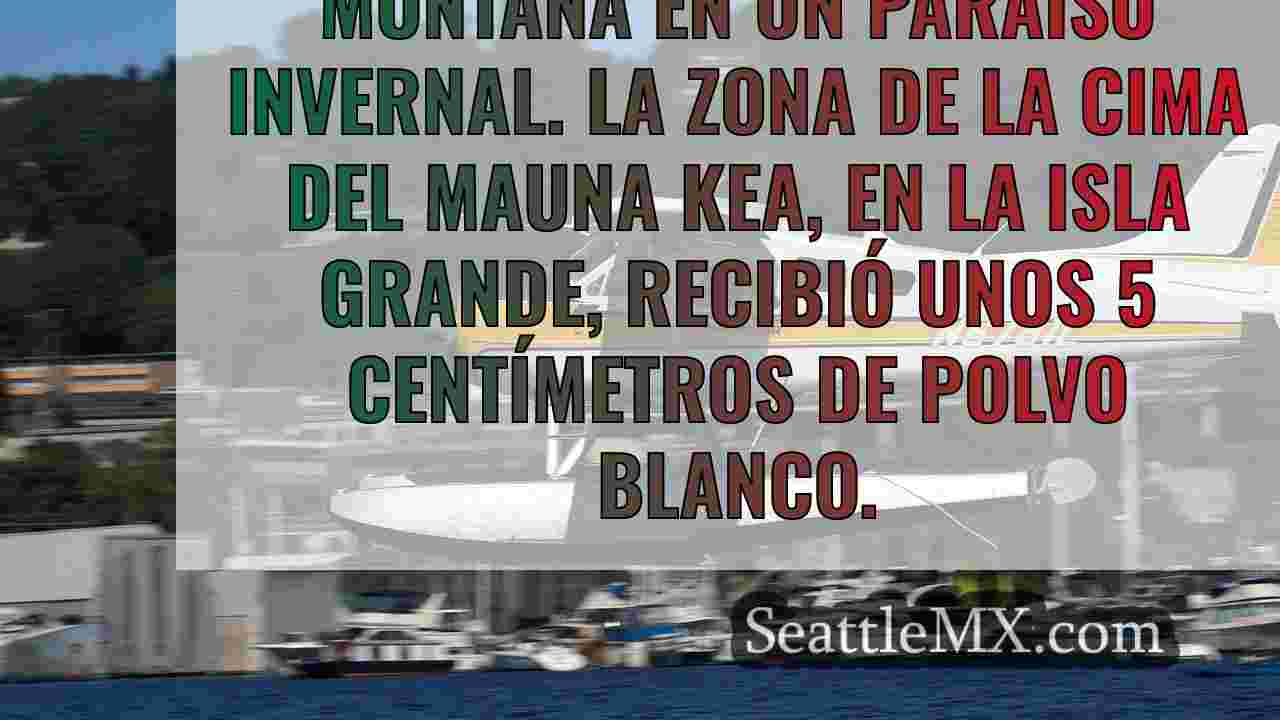El invierno ya está aquí: La nieve