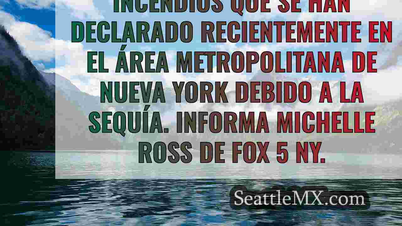 Noticias de Seattle SeattleMX
