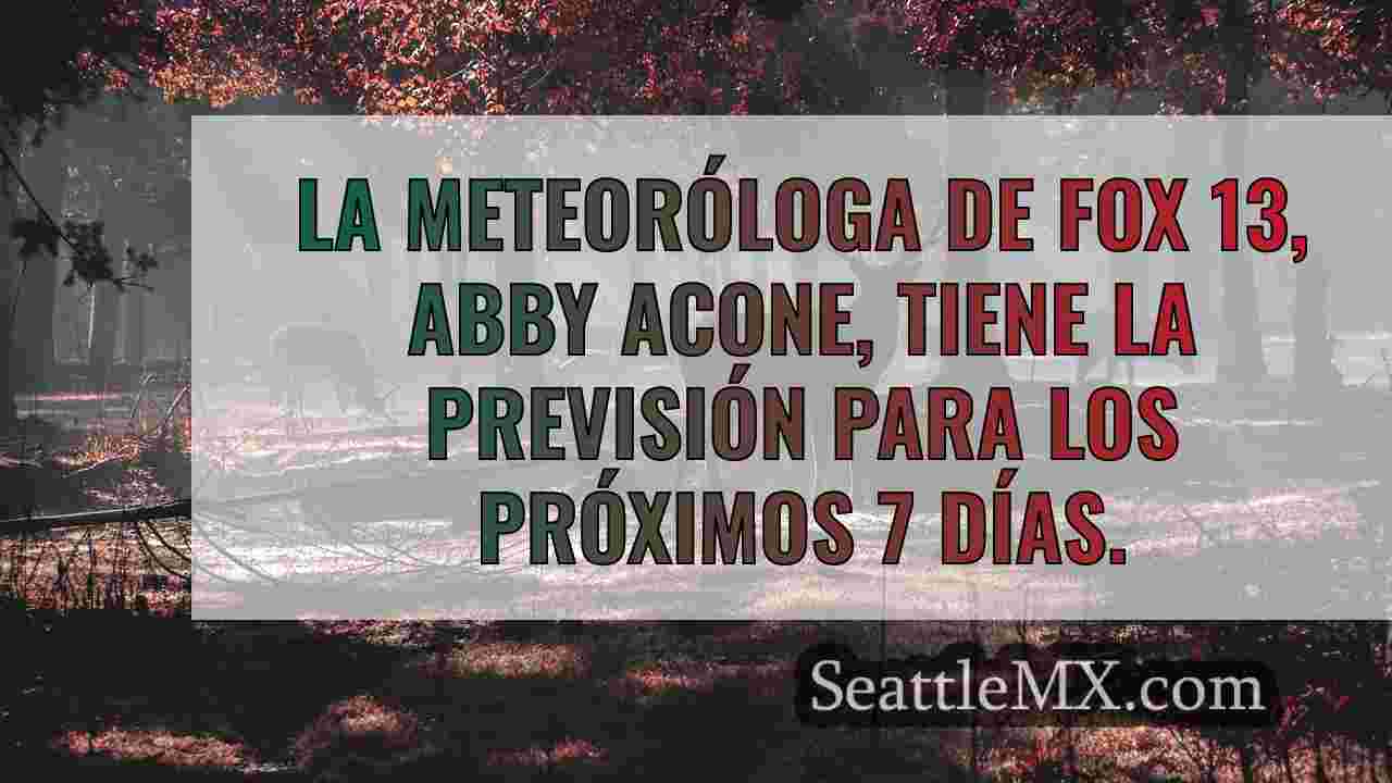 Noticias de Seattle SeattleMX