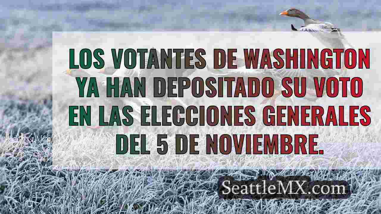 Noticias de Seattle SeattleMX