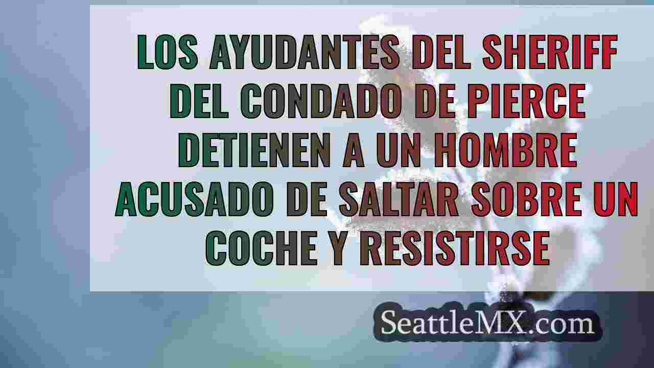 Noticias de Seattle SeattleMX