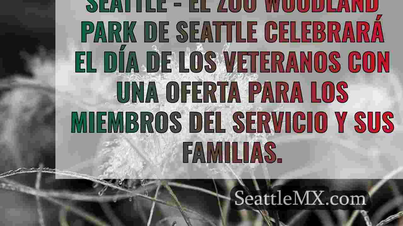 Noticias de Seattle SeattleMX